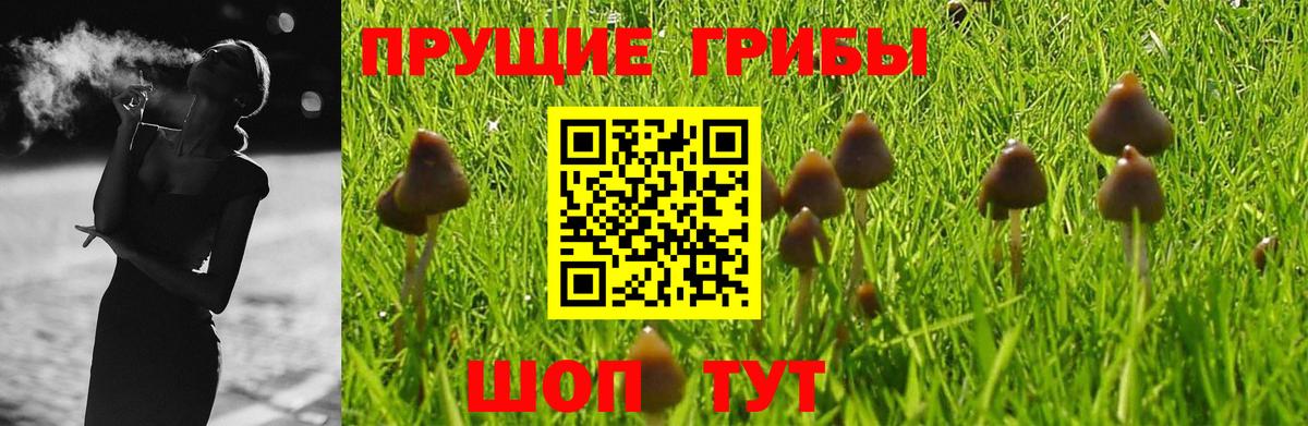 Псилоцибиновые грибы GOLDEN TEACHER  Вход с VPN  Великий Устюг 